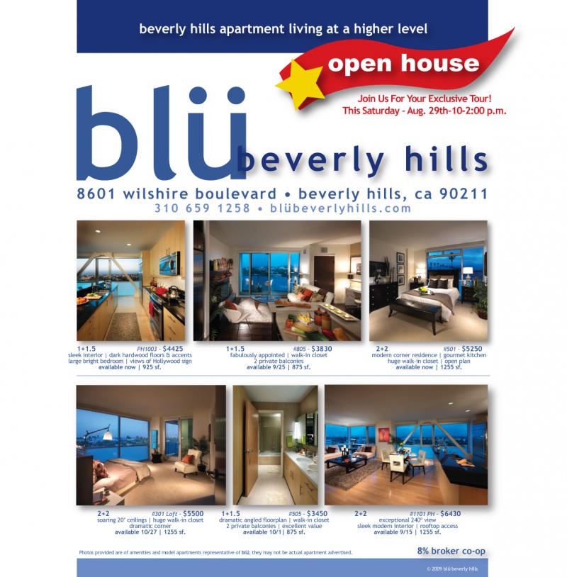 blü MLS cover ad